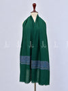 Vintage Paisley Border - Stole