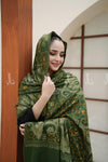 Sabz Naqsh - Shawl
