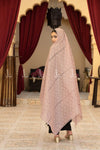 يتوهم Chikankari الحدود تشادر