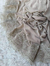 Blush Gulaab Lace Chiffon - Shawl