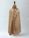 يتوهم Chikankari الحدود تشادر