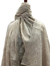 يتوهم Chikankari الحدود تشادر