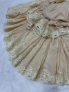 Sequins Beauty All Over Lace Chiffon - shawl