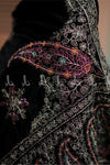 Opulent Paisley Velvet - Shawl