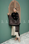Opulent Paisley Velvet - Shawl