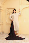 Midnight Chikankari Lawn - Chaddar