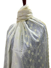 يتوهم Chikankari الحدود تشادر