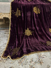 Tahni Gulaab Stone Jaal Velvet Shawl