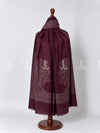 Kaani Gulzar Border Shawl - image 6