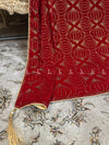 Elegant Heavy Stone Jaal Velvet Shawl